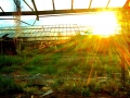 Blendende Sonne