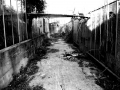 Dunkler Weg