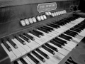 Orgel