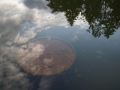 Tonne im Wasser