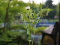 Schwimmbecken
